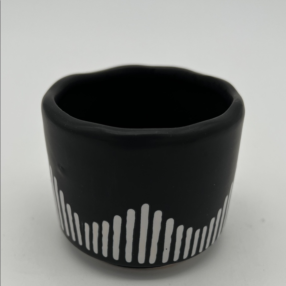 Black and White Ceramic Succulent Planter